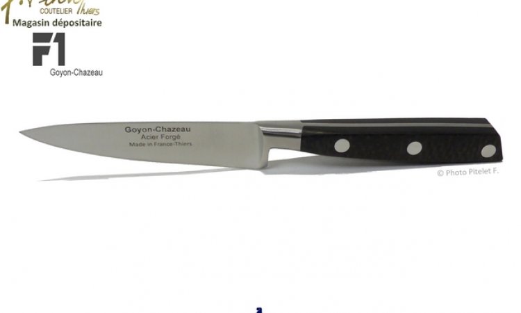 Magasin spécialisé dans la vente de couteaux de cuisine haut de gamme